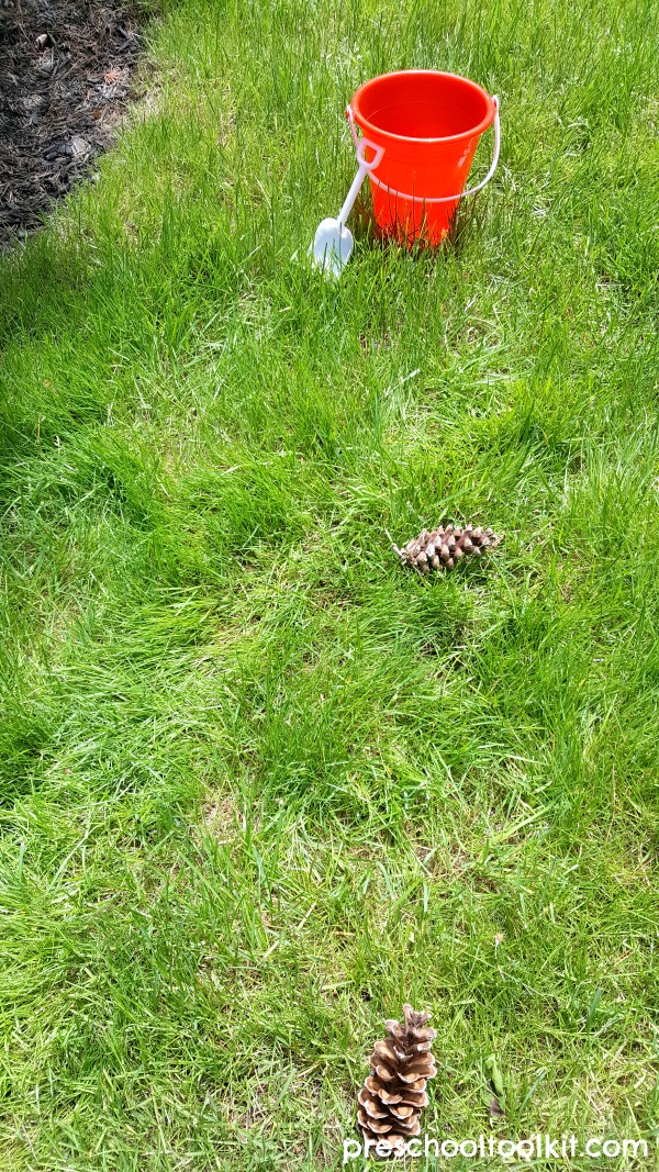 Pine cone trail activity for outdoor play with toddlers and preschoolers