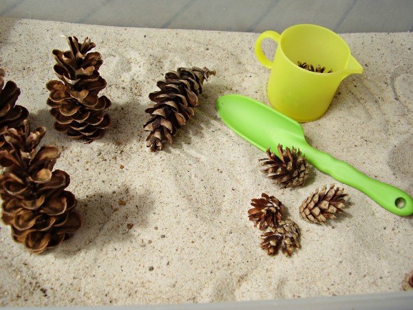 Pine cones in the sandbox sensory play 