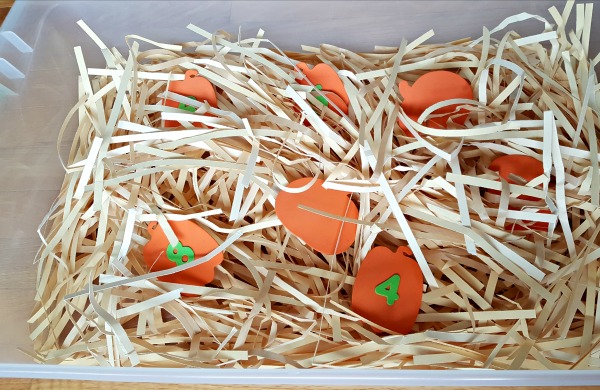 Pumpkin harvest sensory bin preschool activity