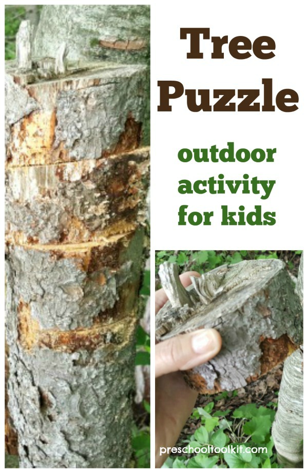 Tree puzzle kids outdoor nature activity