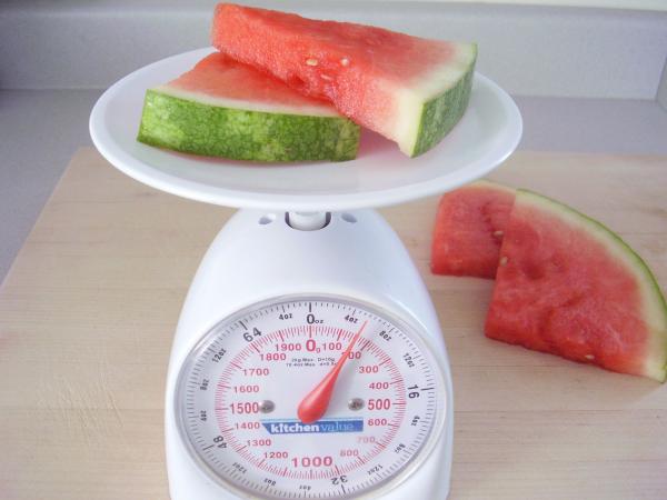 Weighing watermelon