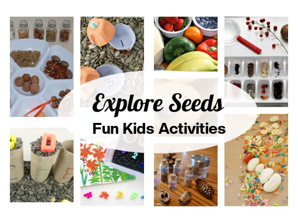 science of seeds kids activities