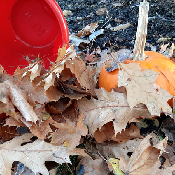 outdoor fall preschool play with pail of leaves and pumpkin