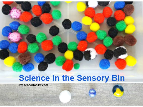 sensory bin science for preschoolers