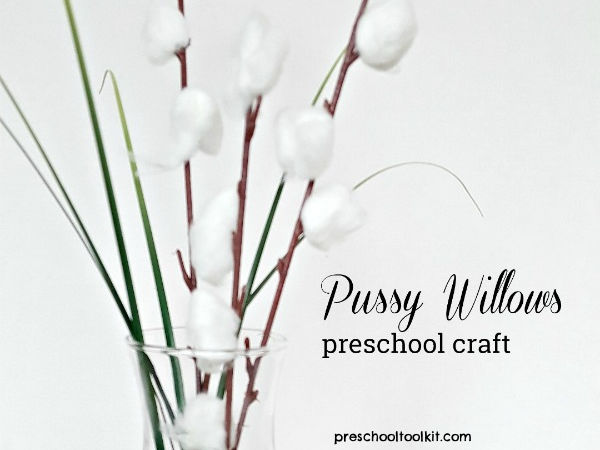 How to Color Pussy Willows  Easy Spring Craft Idea - New England