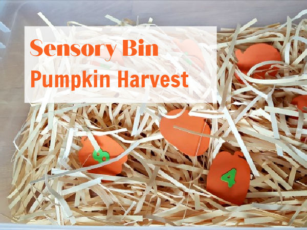 fall harvest pumpkins in the sensory bin