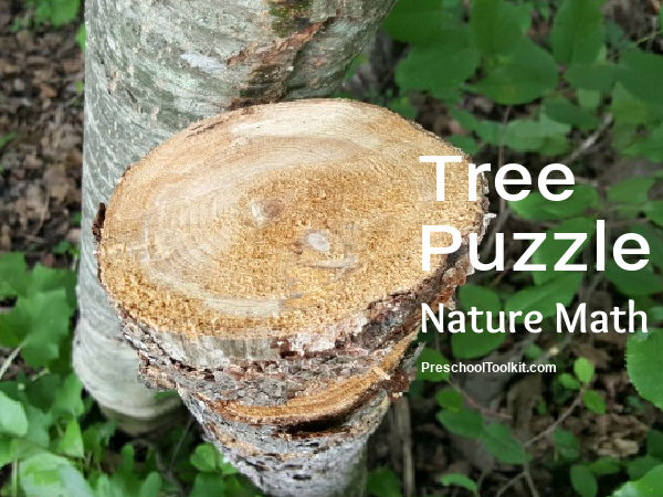 outdoor tree math activity for preschoolers