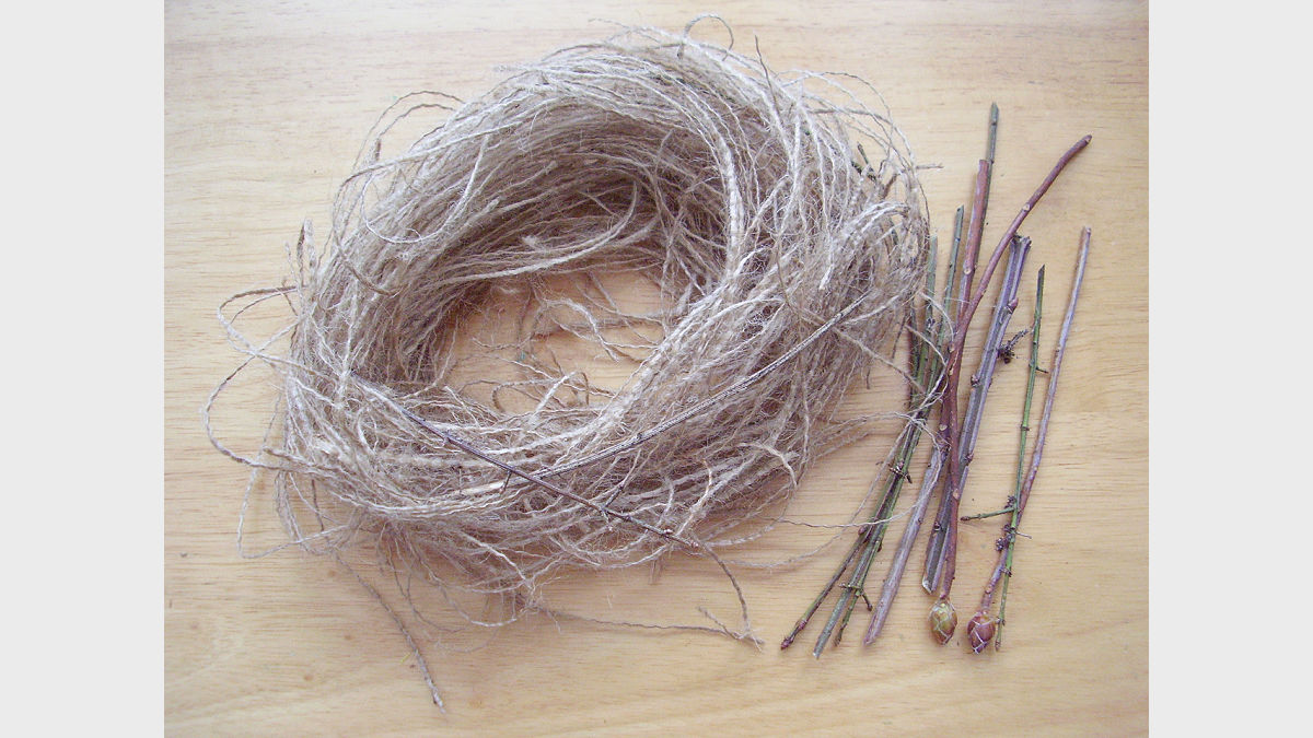 preschool easy bird nest spring craft