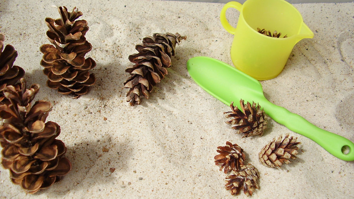 pine cones in the sandbox play idea for preschoolers