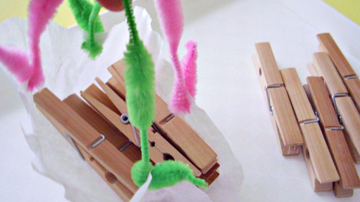 Simple Weights and Measures Preschool Science