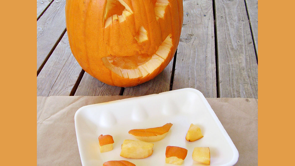 painting activity for kids fall theme with real pumpkins