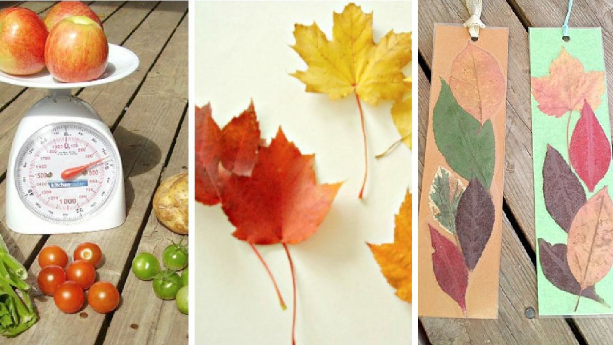 fall season crafts and play ideas for kids