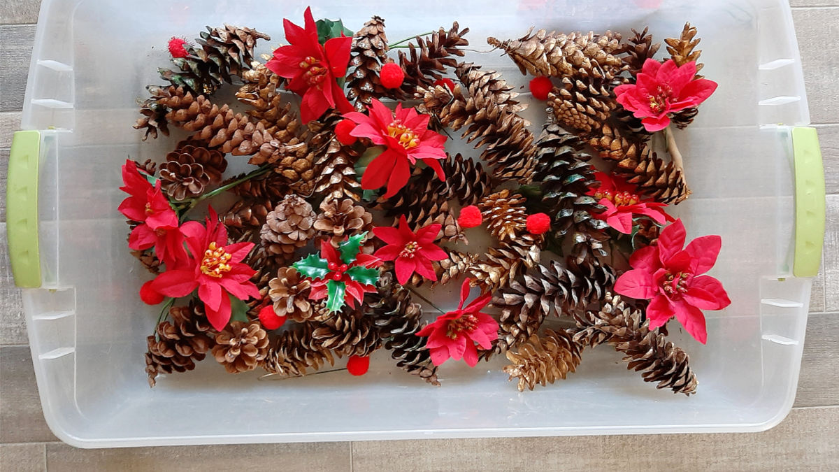 Pine Cone and Poinsettia Christmas Sensory Bin