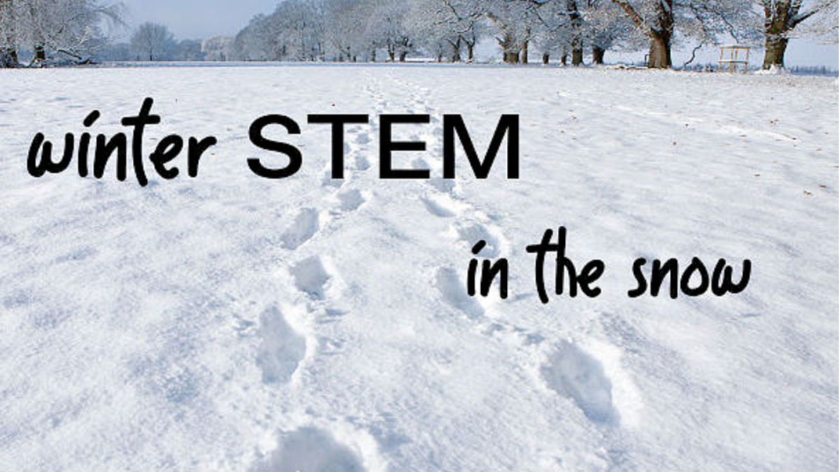 winter science activities outdoors in the snow