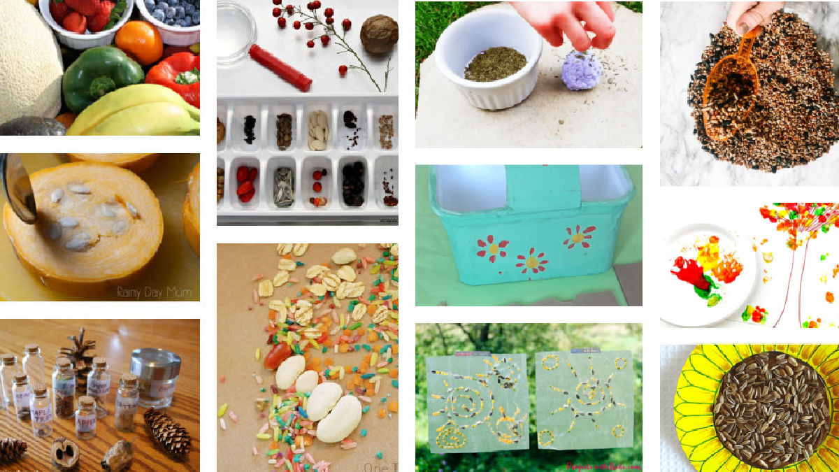 Kids Activities with Seeds from Plants and Foods