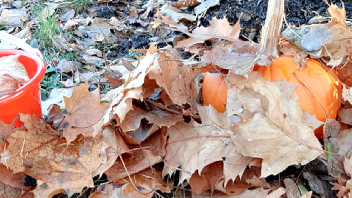 pumpkin hide and seek games outside in the fall
