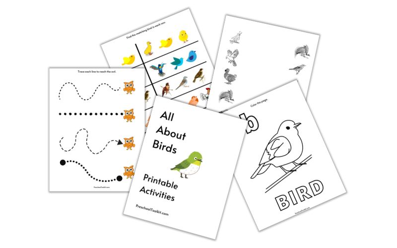 bird theme printables for preschool