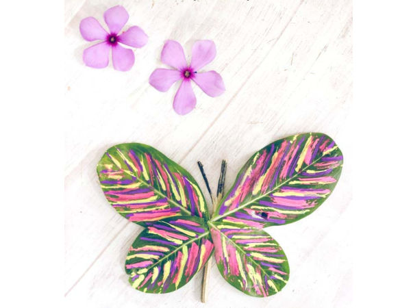 leaf and twig butterfly craft for kids