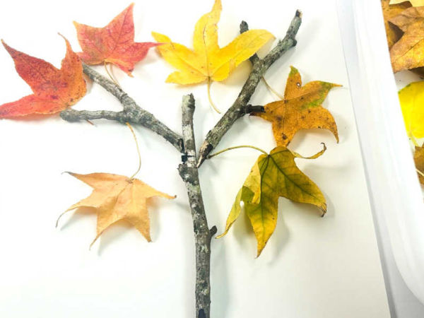 fall leaves and twigs craft for kids