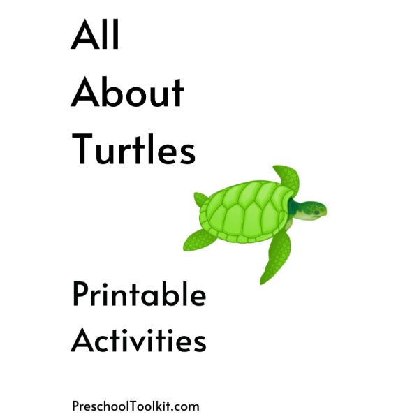 turtle themed printable activities for preshoolers