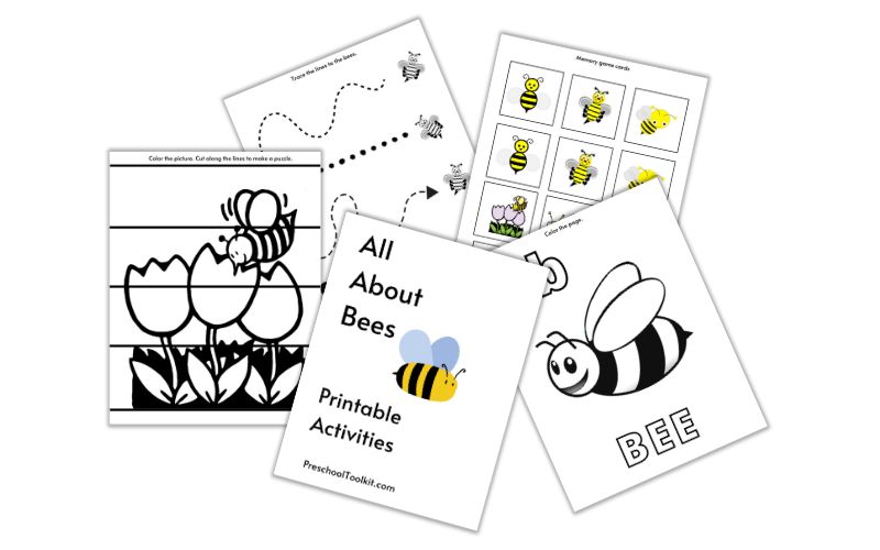 preschool product animal theme printables