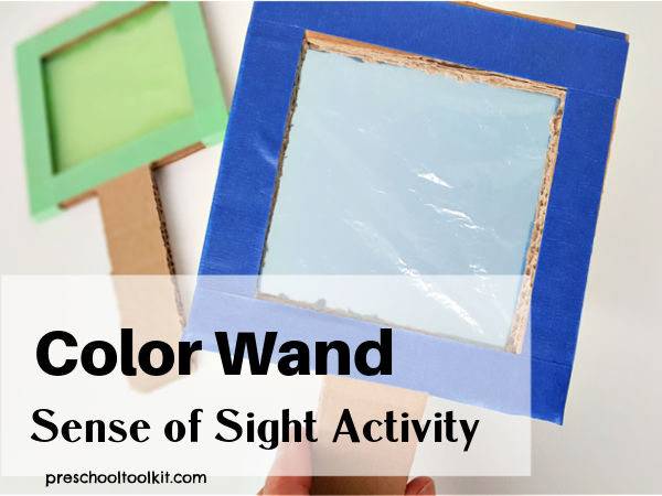 preschool sense of sight activity