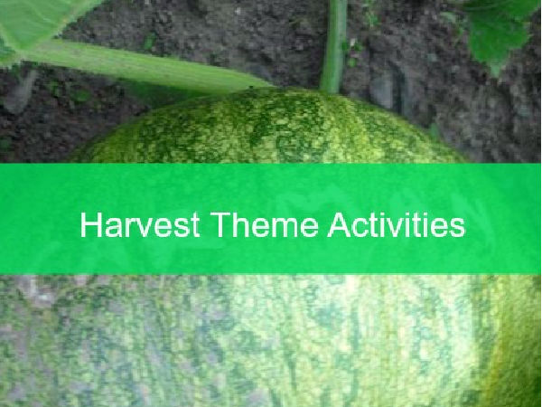 preschool harvest activities