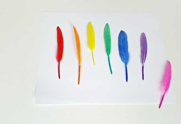 Rainbow with feathers