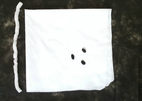 Supplies for a ghost puppet for Halloween