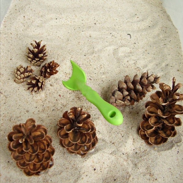 Pine cones in the sandbox sensory activity for preschoolers