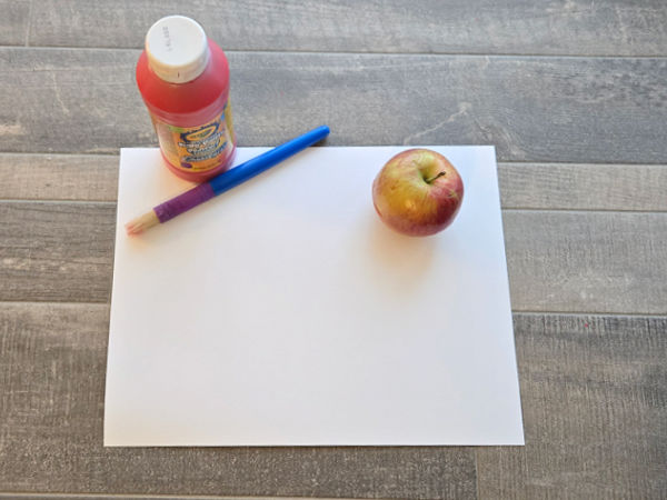 apple, paint brush, paper and paint for painting activity