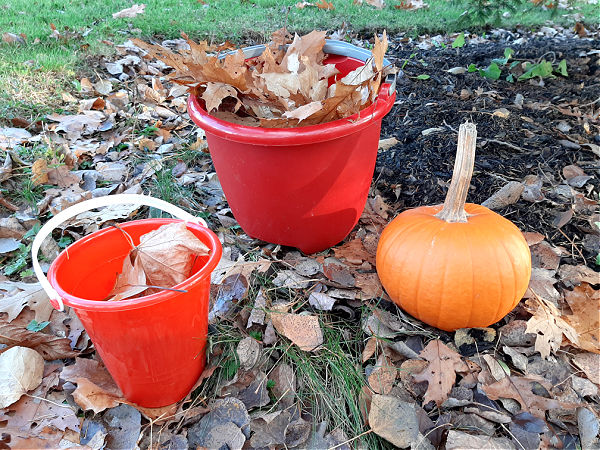 outdoor preschool games for fall season