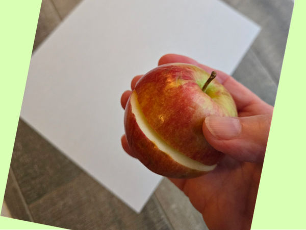 cut an apple in half through the middle to reveal the star