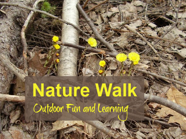 kids learn about nature with a walk through a forest