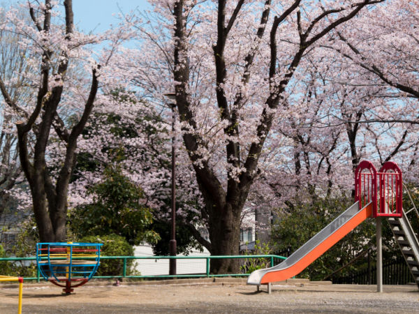 preschool playground area