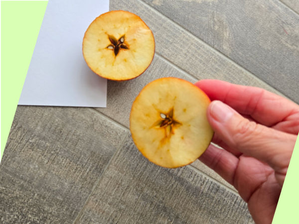 divide an apple to see the seeds and the star shape